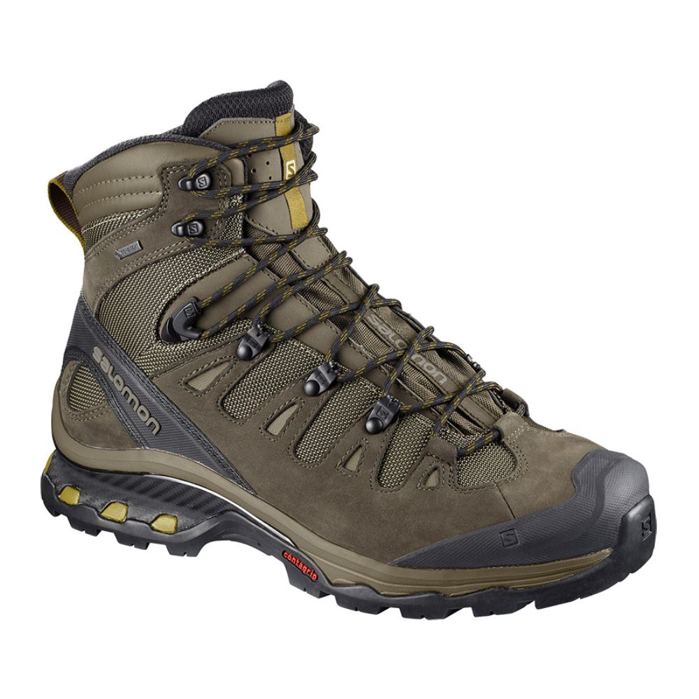 Salomon Quest 4d 3 Gtx - Wren/Bungee Cord/Green Sulphur