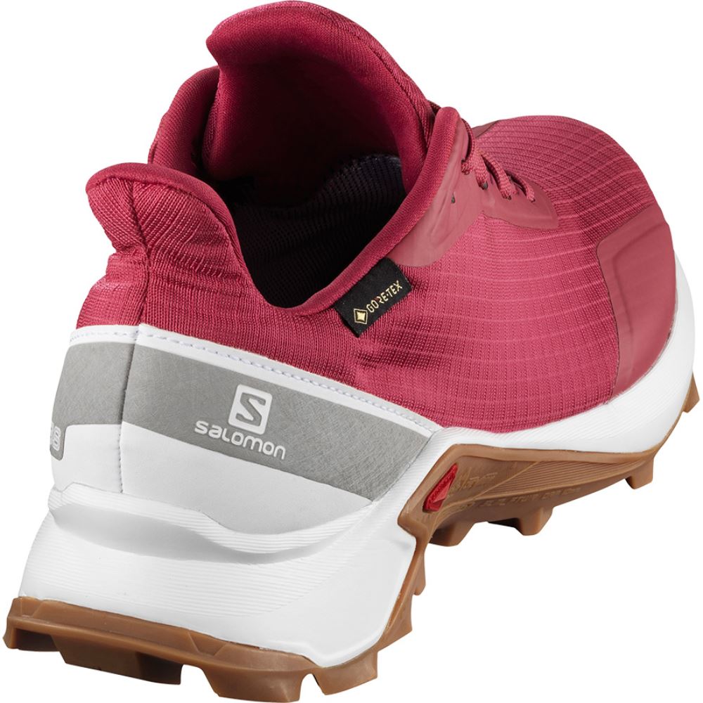 Salomon Alphacross Gtx W - Red/White