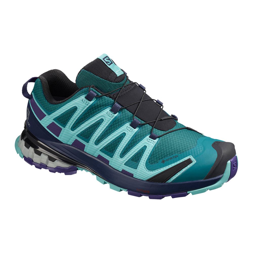 Salomon Xa Pro 3d V8 Gtx W - Shaded Spruce/Evening Blue/Meadowbrook