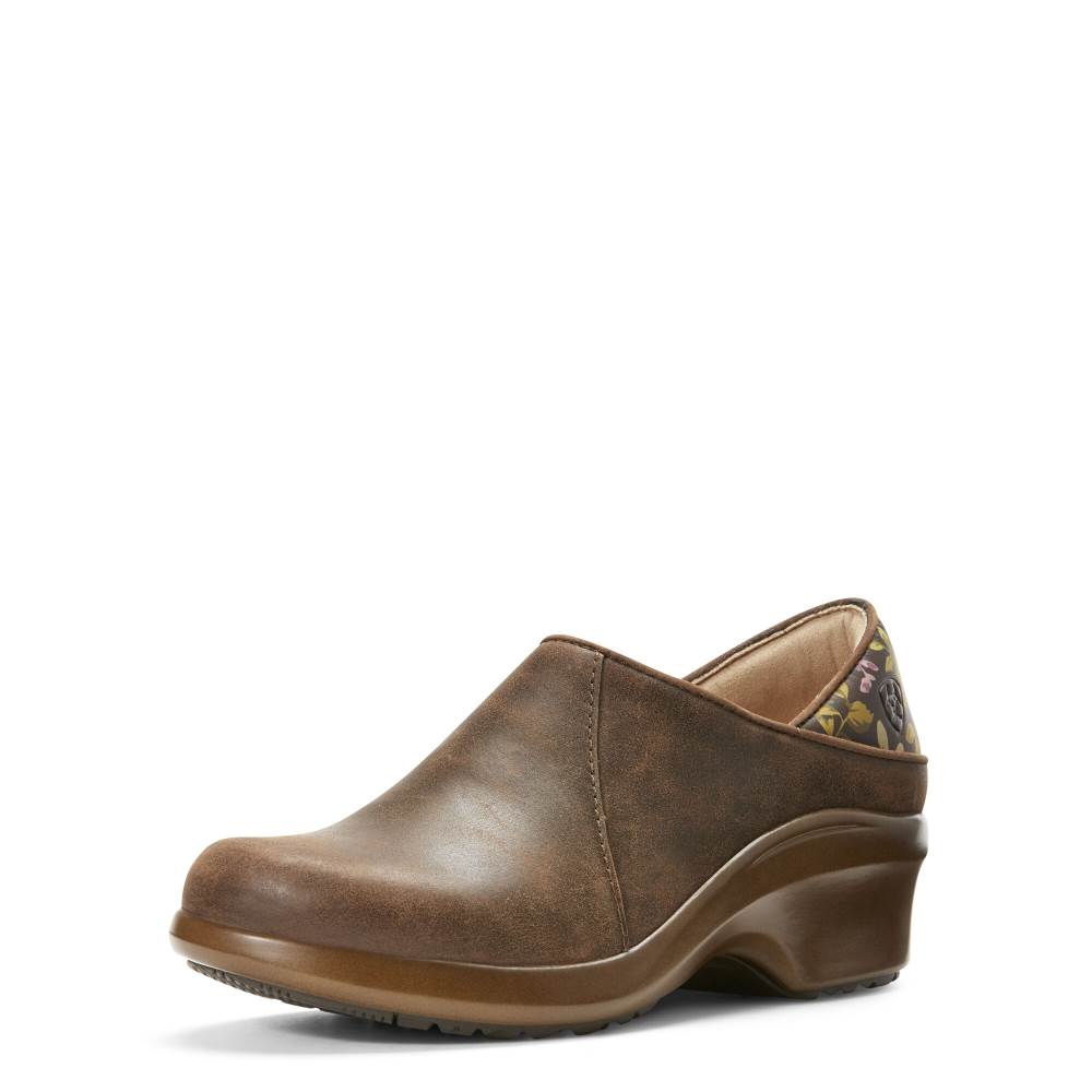 Ariat Hera Expert Clog - ANTIQUE BROWN