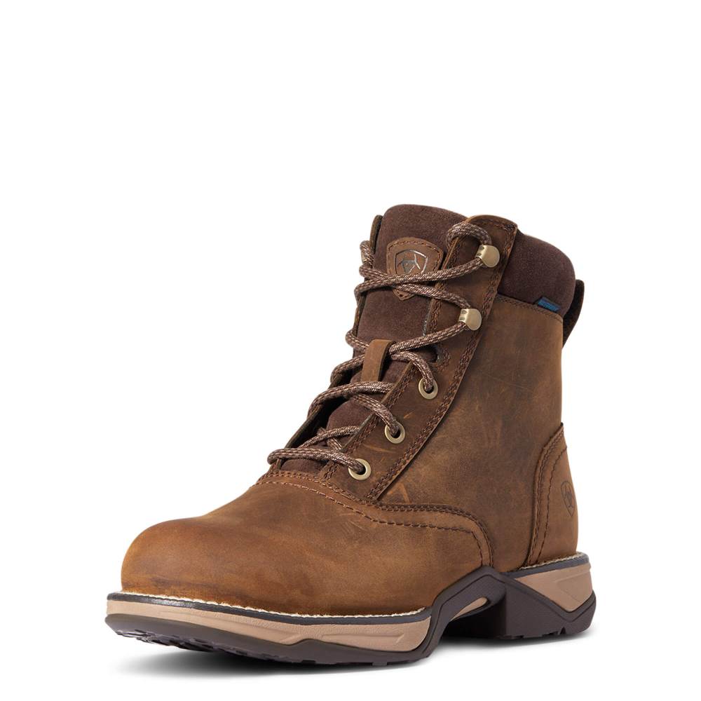 Ariat Anthem Round Toe Lacer Waterproof Boot - DISTRESSED BROWN